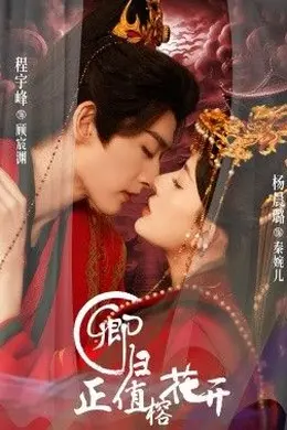 卿归正值榕花开封面图