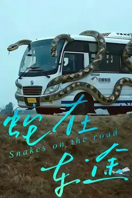 蛇在车途封面图