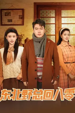 东北野总回八零封面图