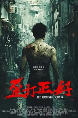 歪打正好封面图