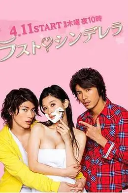 最后的灰姑娘封面图