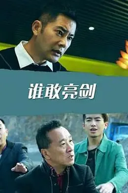 谁敢亮剑封面图