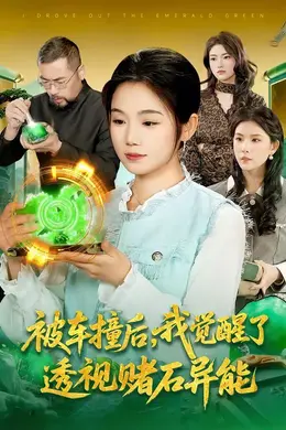 被车撞后，我觉醒了透视赌石异能了封面图