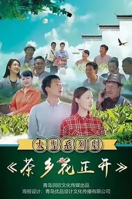 茶乡花正开封面图