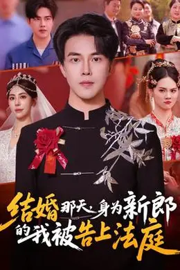 结婚那天，身为新郎的我被告上法庭海报图片