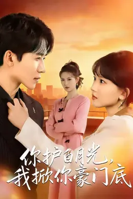 你护白月光，我掀你豪门底封面图
