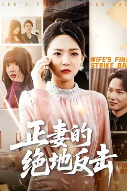 正妻的绝地反击封面图