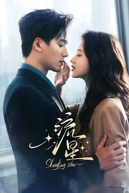 流星（2026）封面图