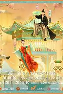 韶华若锦封面图