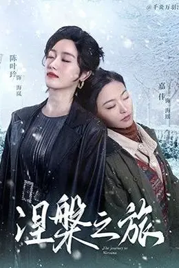 涅槃之旅海报图片