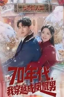 70年代，我穿越成凤凰男海报图片