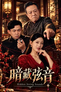 暗藏弦音封面图