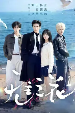 无主之花1封面图