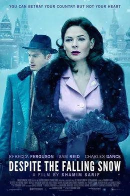 当雪落时封面图