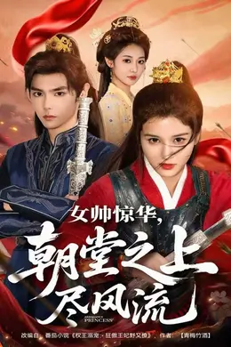 女帅惊华，朝堂之上尽风流海报图片