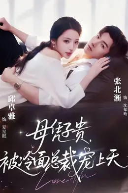 母凭子贵，被冷面总裁宠上天海报图片