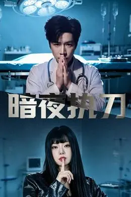 暗夜执刀封面图