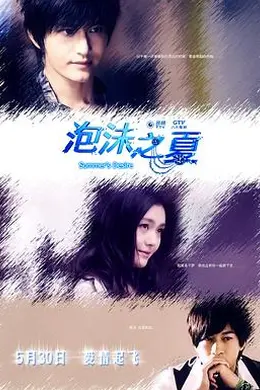 泡沫之夏2010封面图