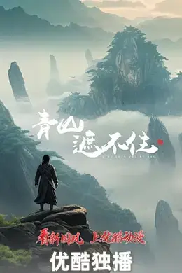 青山遮不住海报图片