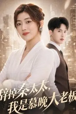 辞掉秦太太，我是慕晚大老板封面图