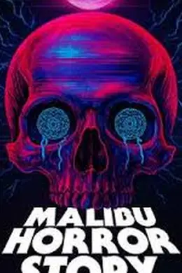 马里布录像带封面图