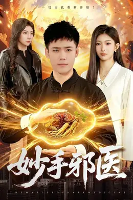 妙手邪医封面图