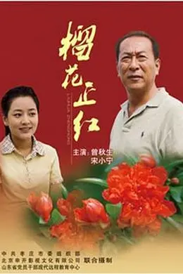 榴花正红封面图