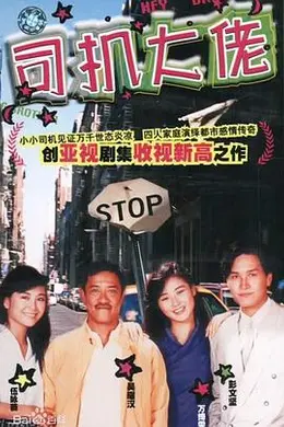 司机大佬国语封面图