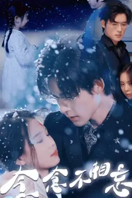 念念不相忘海报图片