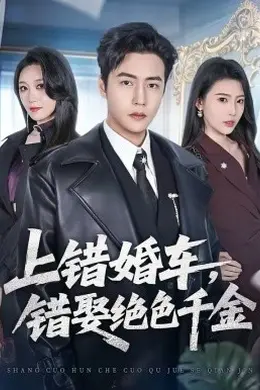 上错婚车，错娶绝色千金封面图