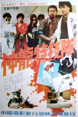 神龙特技队封面图