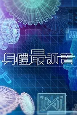 身体最诚实封面图