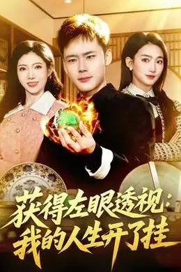 获得左眼透视：我的人生开了挂封面图