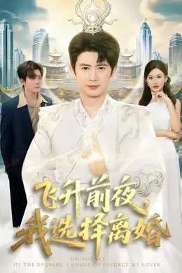 飞升前夜，我选择离婚海报图片