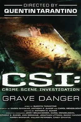 犯罪现场调查 第五季封面图