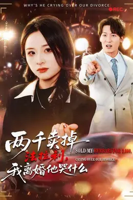 两千卖掉法拉利，我离婚他哭什么海报图片