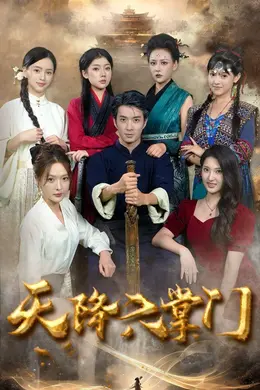 天降六掌门海报图片