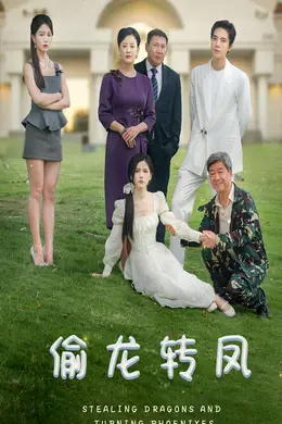 偷龙转凤封面图