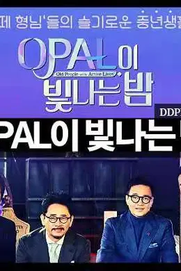 OPAL闪耀的夜封面图