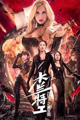 木兰特工之藏宝图封面图