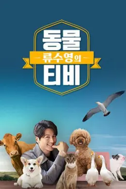 柳秀荣的动物封面图