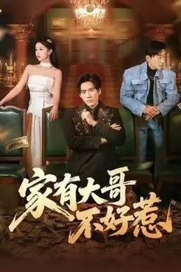 家有大哥不好惹海报图片