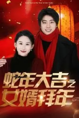 蛇年大吉之女婿拜年海报图片