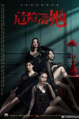 危险的她封面图