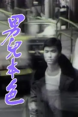 男儿本色粤语封面图