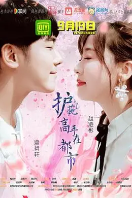 护花高手在都市封面图