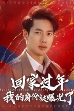 回家过年我的身份被曝光了海报图片