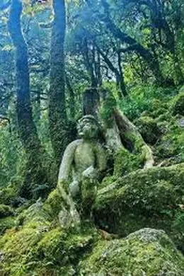 哀牢寻龙海报图片