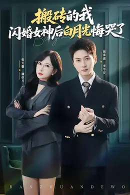 搬砖的我，闪婚女神后白月光悔哭了海报图片