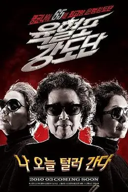 奶奶强盗团封面图